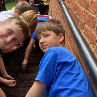 The Green Team - Planting Veggies in the Quad - May 23